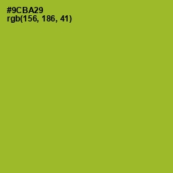 #9CBA29 - Sushi Color Image