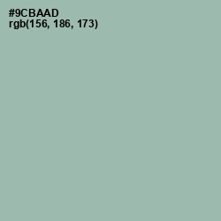 #9CBAAD - Summer Green Color Image