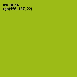 #9CBB16 - Citron Color Image