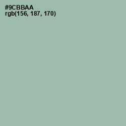 #9CBBAA - Summer Green Color Image