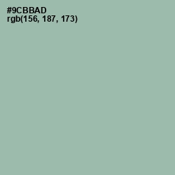 #9CBBAD - Summer Green Color Image