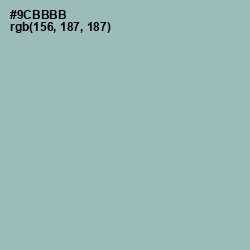 #9CBBBB - Gull Gray Color Image