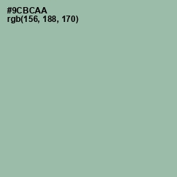 #9CBCAA - Summer Green Color Image