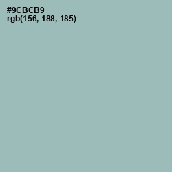 #9CBCB9 - Summer Green Color Image