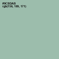 #9CBDAB - Summer Green Color Image