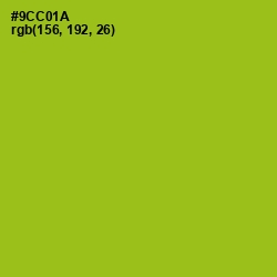 #9CC01A - Pistachio Color Image