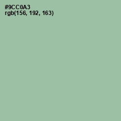 #9CC0A3 - Shadow Green Color Image