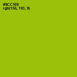 #9CC109 - Pistachio Color Image