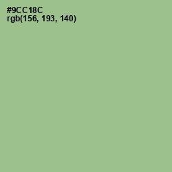 #9CC18C - Feijoa Color Image