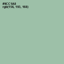 #9CC1A8 - Shadow Green Color Image