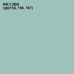 #9CC2BB - Shadow Green Color Image