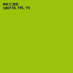 #9CC30B - Pistachio Color Image