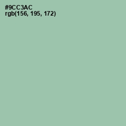 #9CC3AC - Shadow Green Color Image