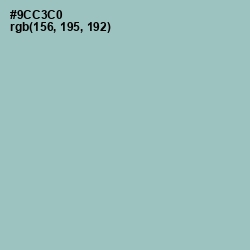 #9CC3C0 - Half Baked Color Image