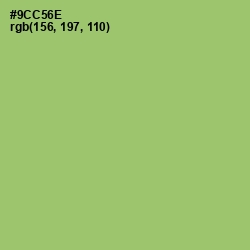 #9CC56E - Wild Willow Color Image