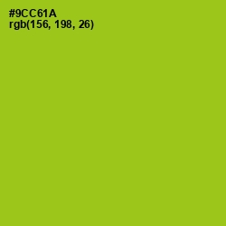 #9CC61A - Pistachio Color Image