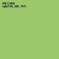 #9CC86B - Wild Willow Color Image