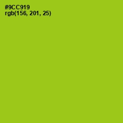 #9CC919 - Pistachio Color Image