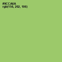 #9CCA6A - Wild Willow Color Image