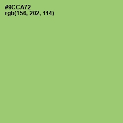 #9CCA72 - Wild Willow Color Image