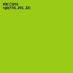 #9CCB16 - Pistachio Color Image