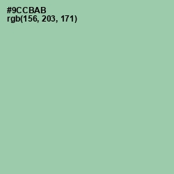 #9CCBAB - Shadow Green Color Image