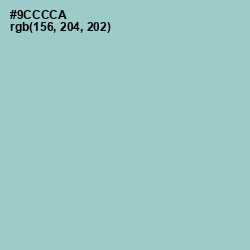 #9CCCCA - Sinbad Color Image