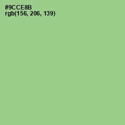 #9CCE8B - Feijoa Color Image