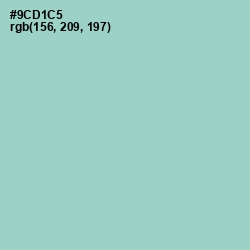 #9CD1C5 - Sinbad Color Image