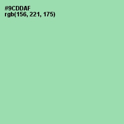#9CDDAF - Algae Green Color Image