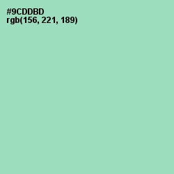 #9CDDBD - Algae Green Color Image