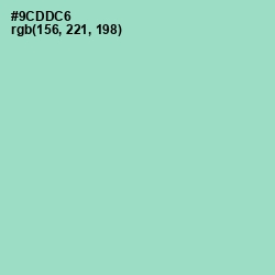 #9CDDC6 - Sinbad Color Image