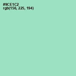 #9CE1C2 - Riptide Color Image