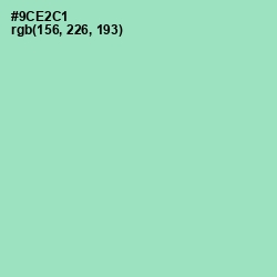 #9CE2C1 - Riptide Color Image