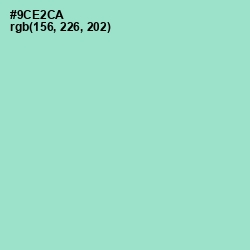 #9CE2CA - Riptide Color Image