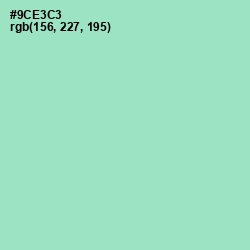 #9CE3C3 - Riptide Color Image