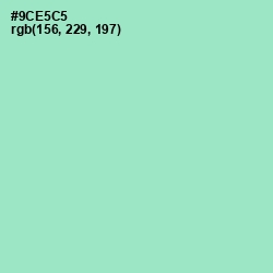 #9CE5C5 - Riptide Color Image