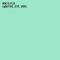 #9CE7C8 - Riptide Color Image