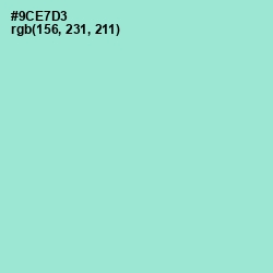 #9CE7D3 - Riptide Color Image