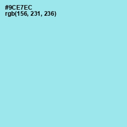 #9CE7EC - Anakiwa Color Image