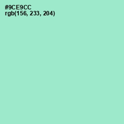 #9CE9CC - Riptide Color Image