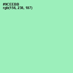 #9CEEBB - Chinook Color Image