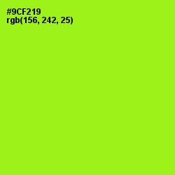 #9CF219 - Inch Worm Color Image