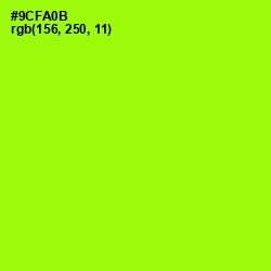 #9CFA0B - Inch Worm Color Image