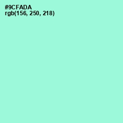 #9CFADA - Riptide Color Image