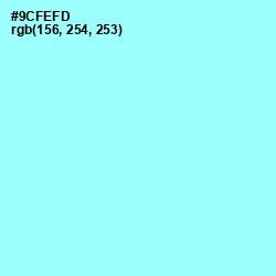 #9CFEFD - Anakiwa Color Image