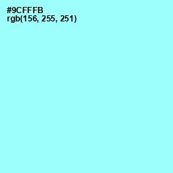 #9CFFFB - Anakiwa Color Image