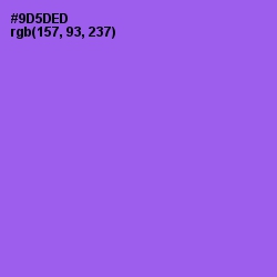 #9D5DED - Medium Purple Color Image