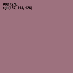 #9D727E - Bazaar Color Image