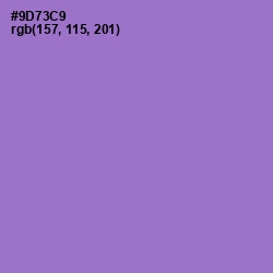 #9D73C9 - Lilac Bush Color Image